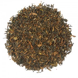 Ronnefeldt Tea Couture Darjeeling Gold